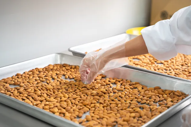 Hand-sorting raw nuts twice for quality at Nuts Enough factory